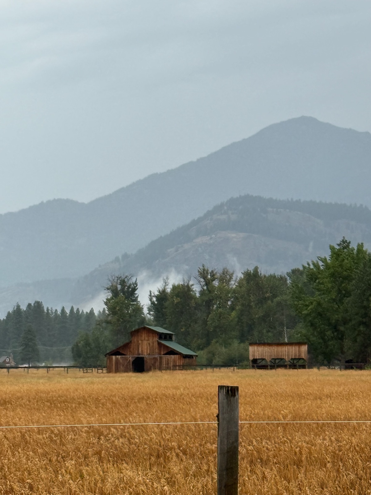 Historic barns in a golden field with misty mountains — a rustic wedding backdrop